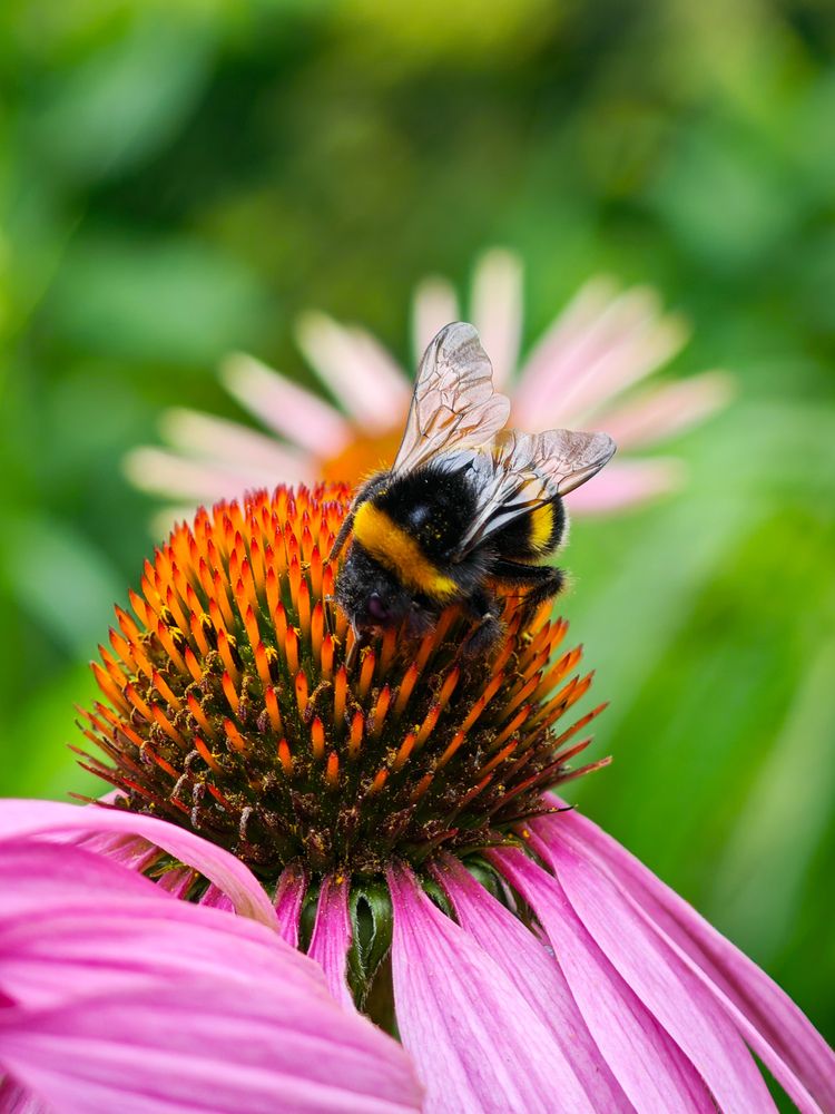 Photograph by Ljubov Trombovetskaja