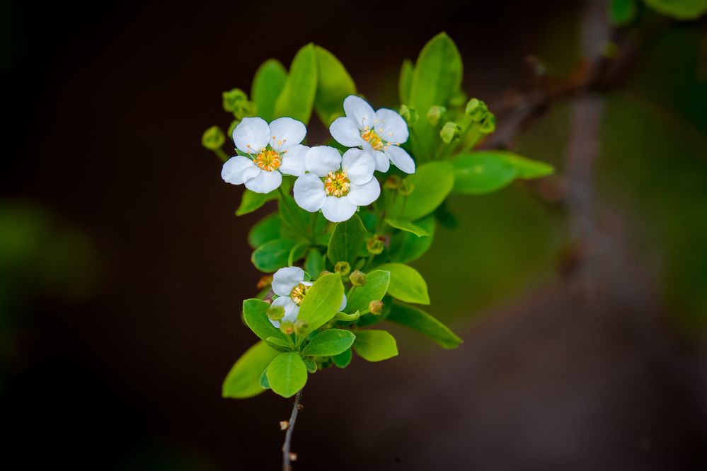 Photograph by Владимир Говоров