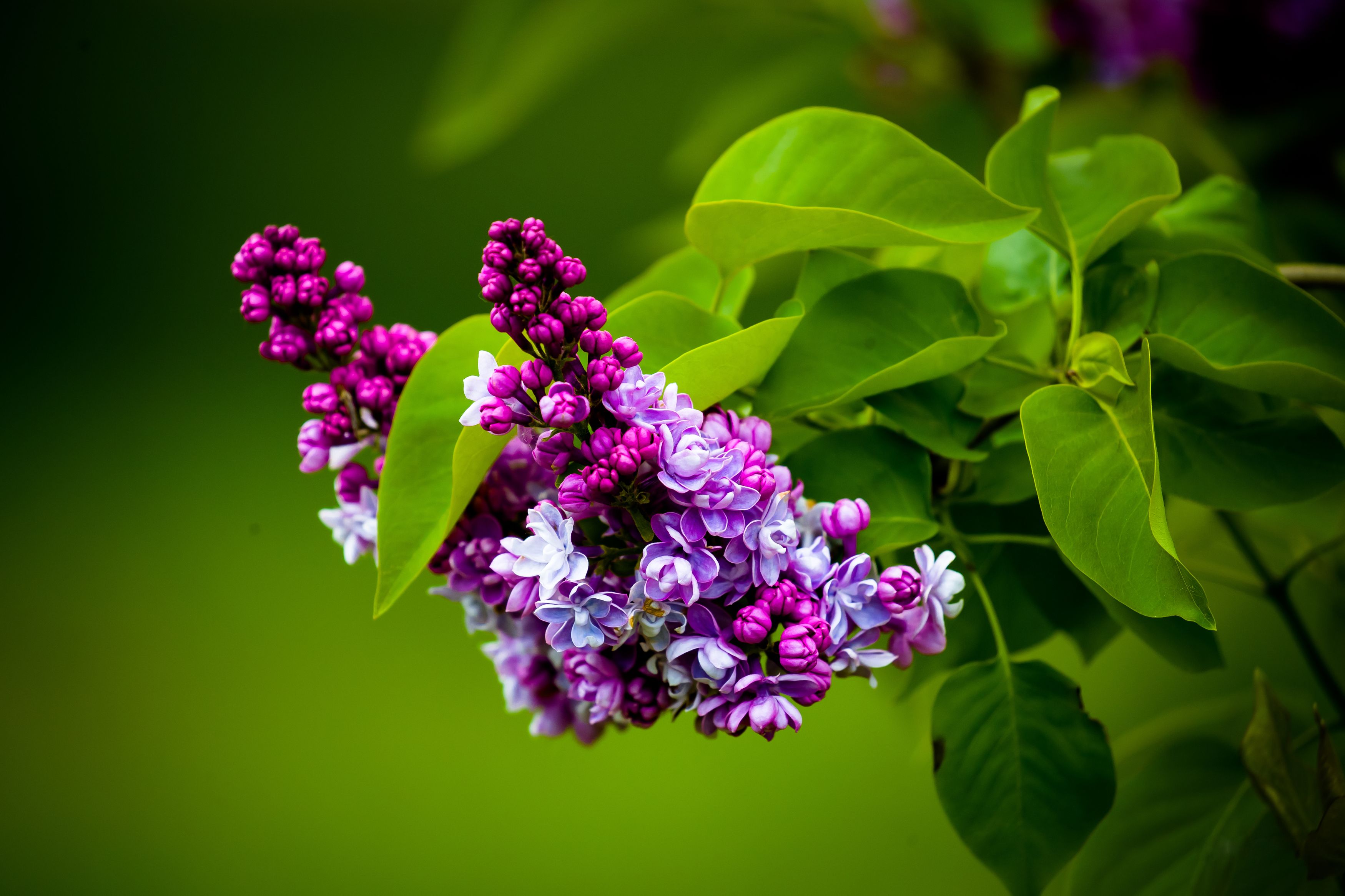 Photograph by Владимир Говоров