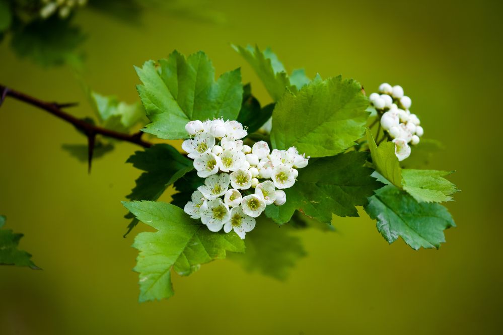 Photograph by Владимир Говоров