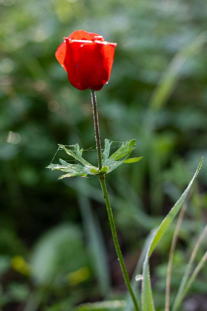 Photograph by Lada Tregubov