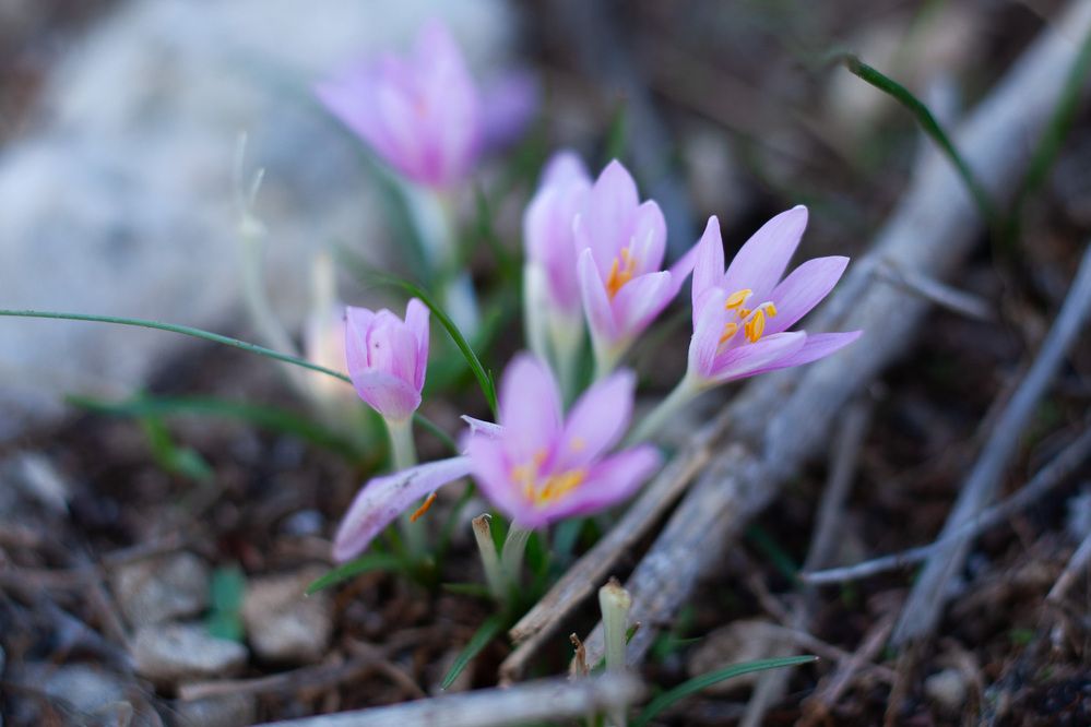 Photograph by Lada Tregubov