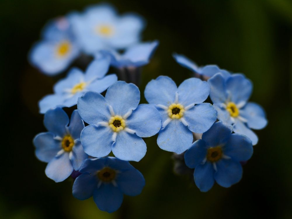 Photograph by Kirill Frolov