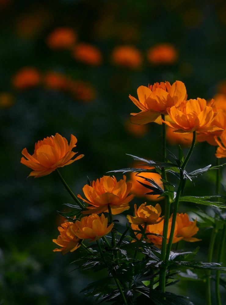 Photograph by Kirill Frolov