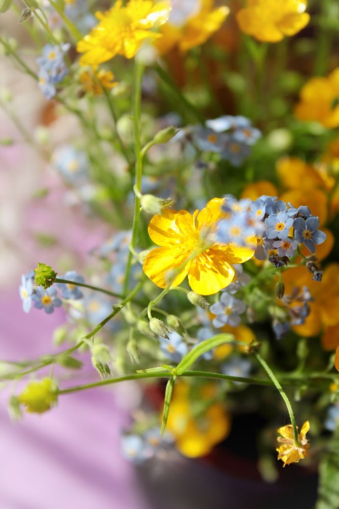 Photograph by Swetlana Smiryagina