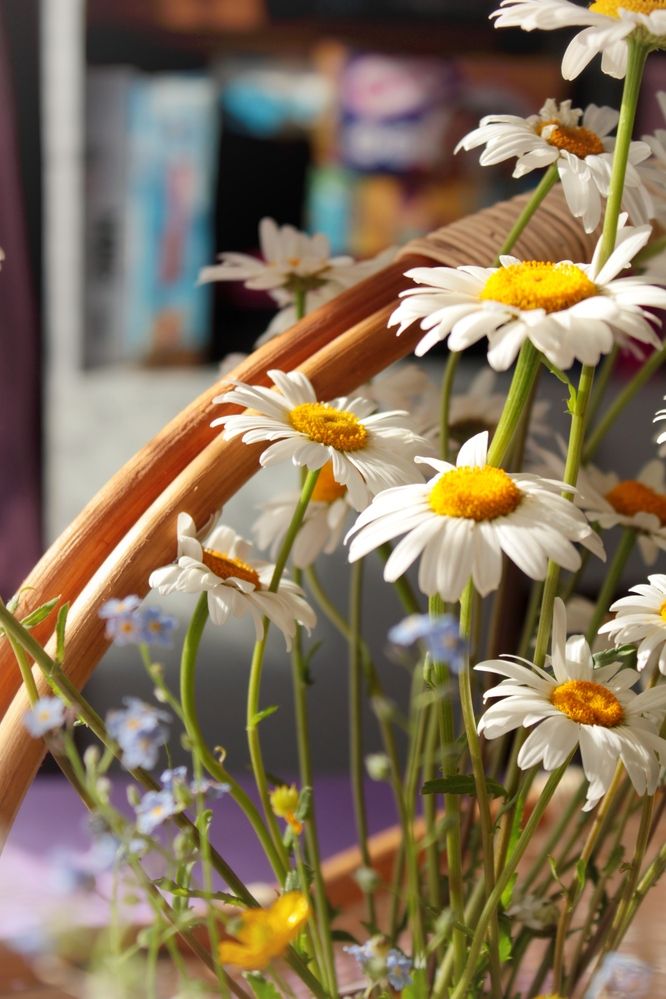 Photograph by Swetlana Smiryagina