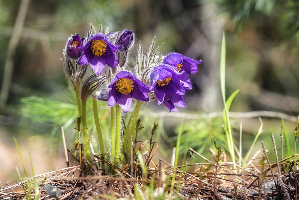 Photograph by Соколова Елена