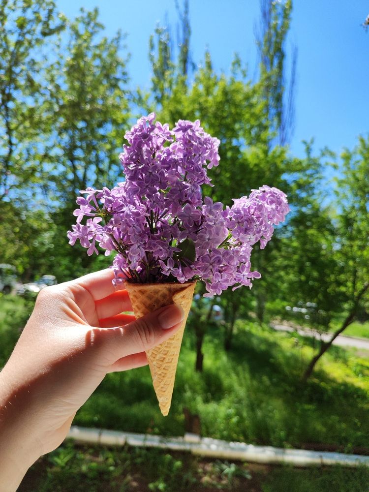 Photograph by Анна Напримерова
