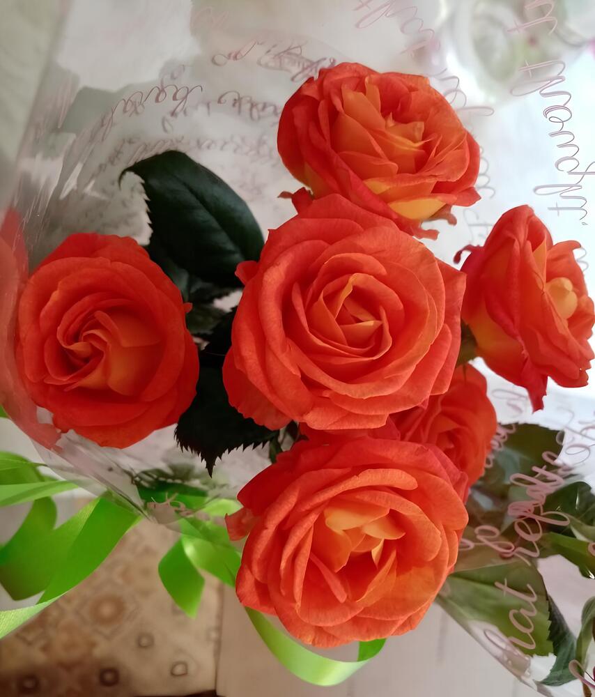 Photograph by Елена Сухорученкова