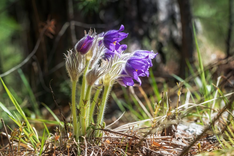 Photograph by Соколова Елена