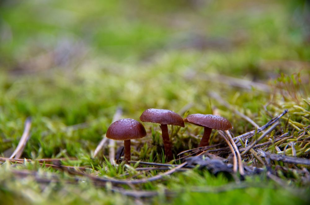 Photograph by Вика Коршунова