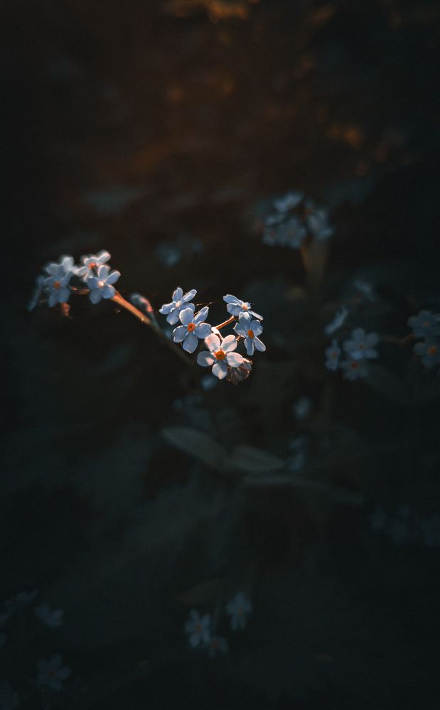 Фотография автора Геннадий Ломеко