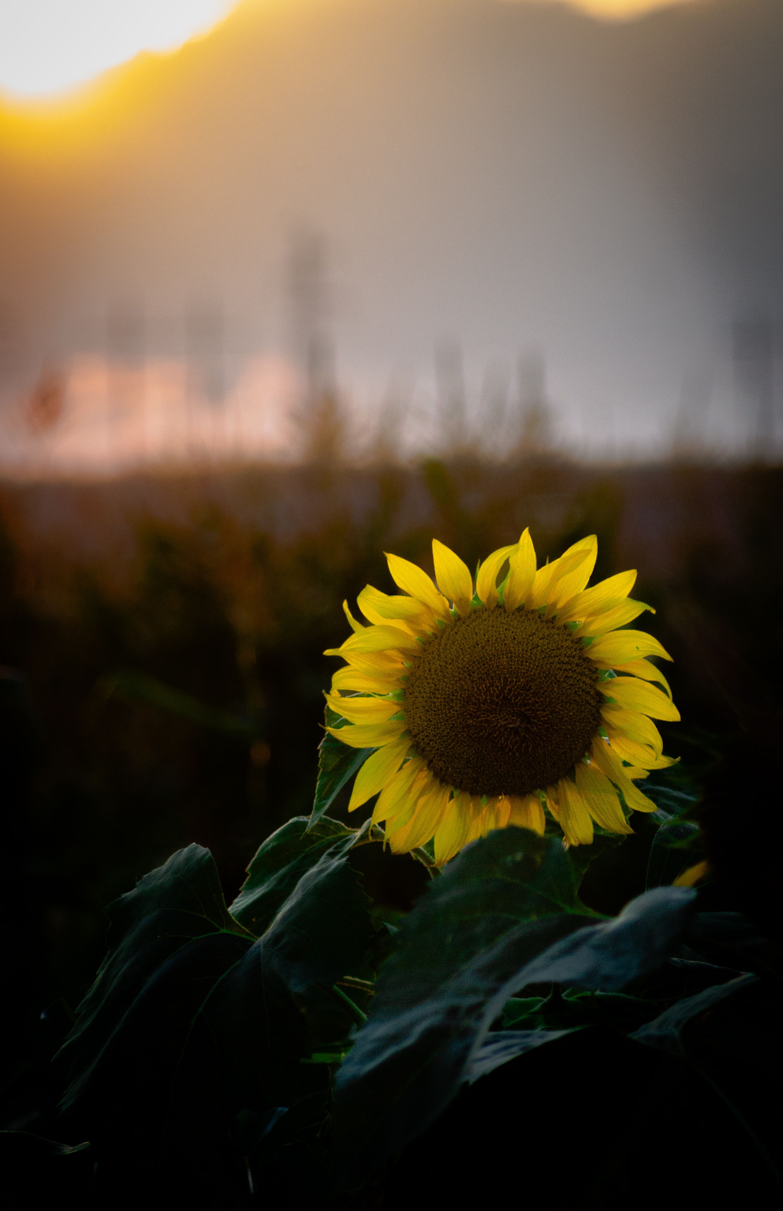 Фотография автора Геннадий Ломеко