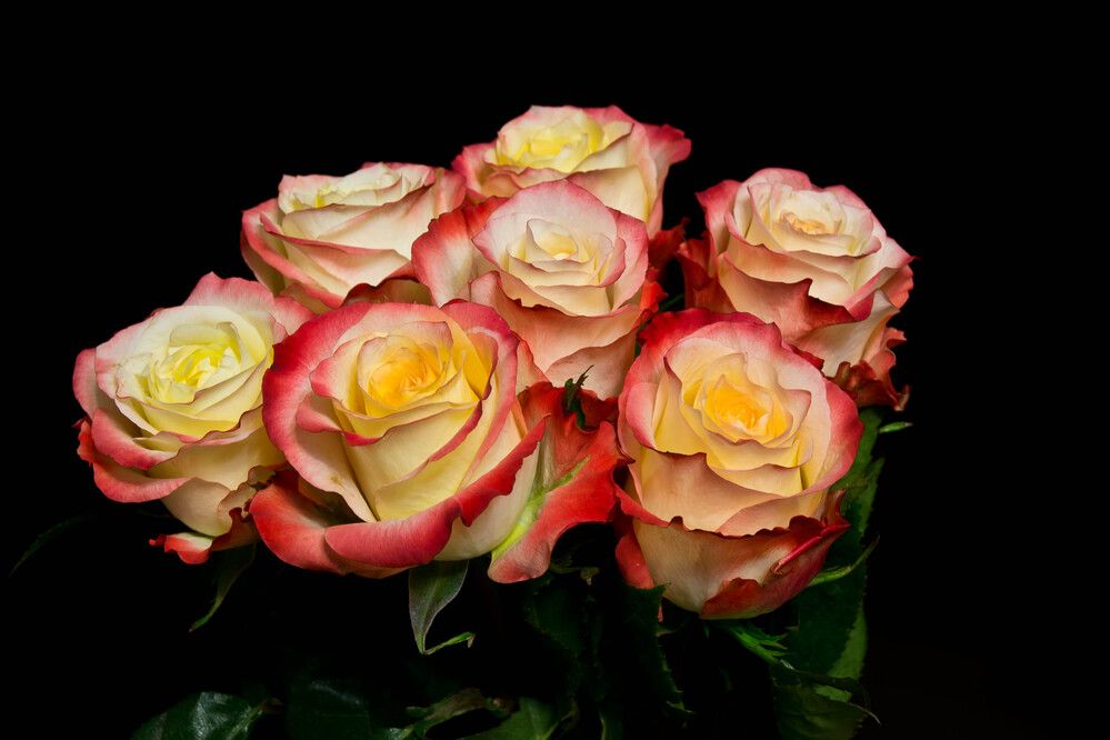 Фотография автора Юлия Кранина