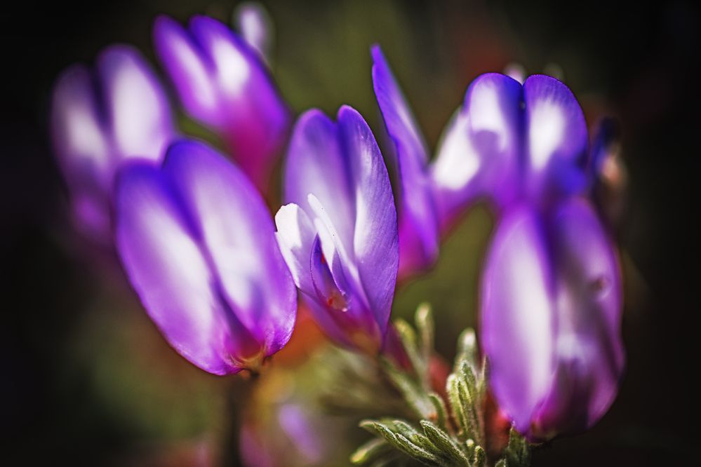 Фотография автора Андрей Жданов