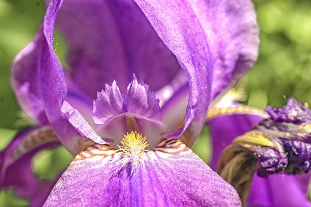 Фотография автора Андрей Жданов