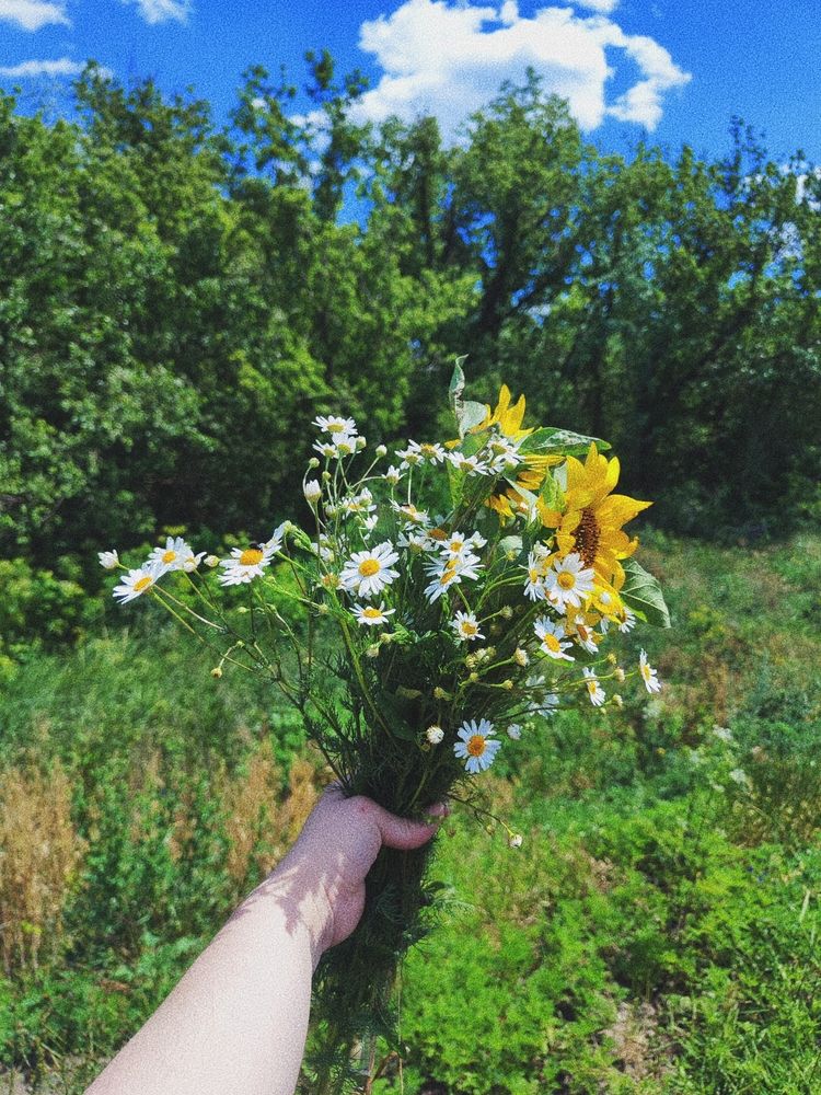 Photograph by Анна Напримерова