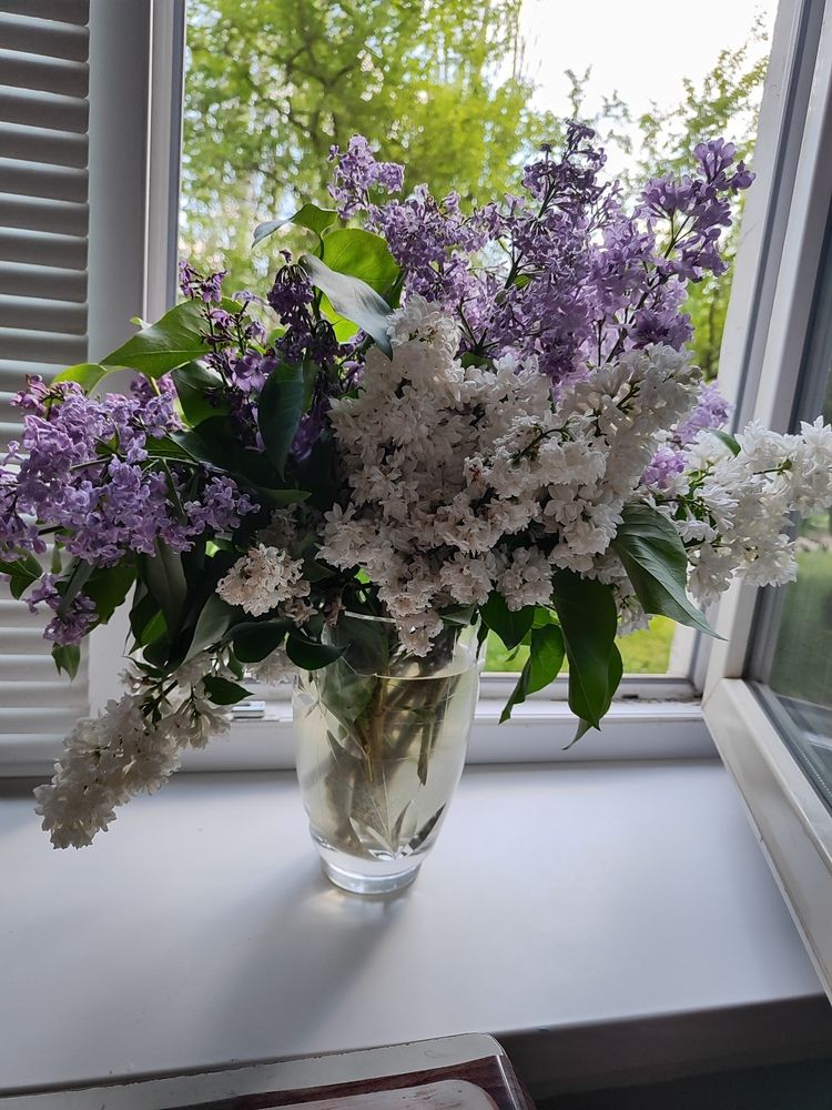 Photograph by Анна Напримерова