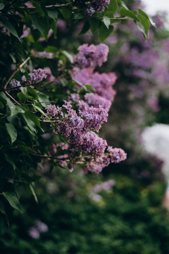 Photograph by Светлана Субботина