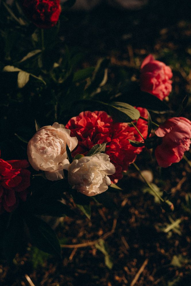 Photograph by Светлана Субботина