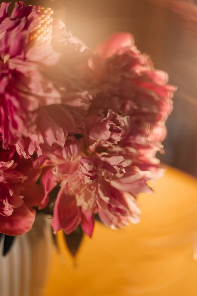 Photograph by Светлана Субботина