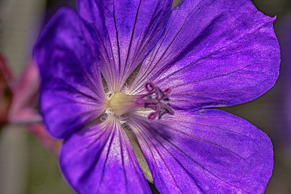 Фотография автора Андрей Жданов