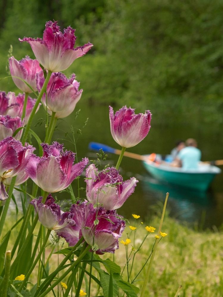 Photograph by Анна Васильева