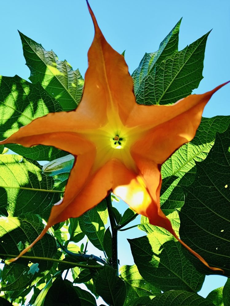 Photograph by Eleni Christogianni