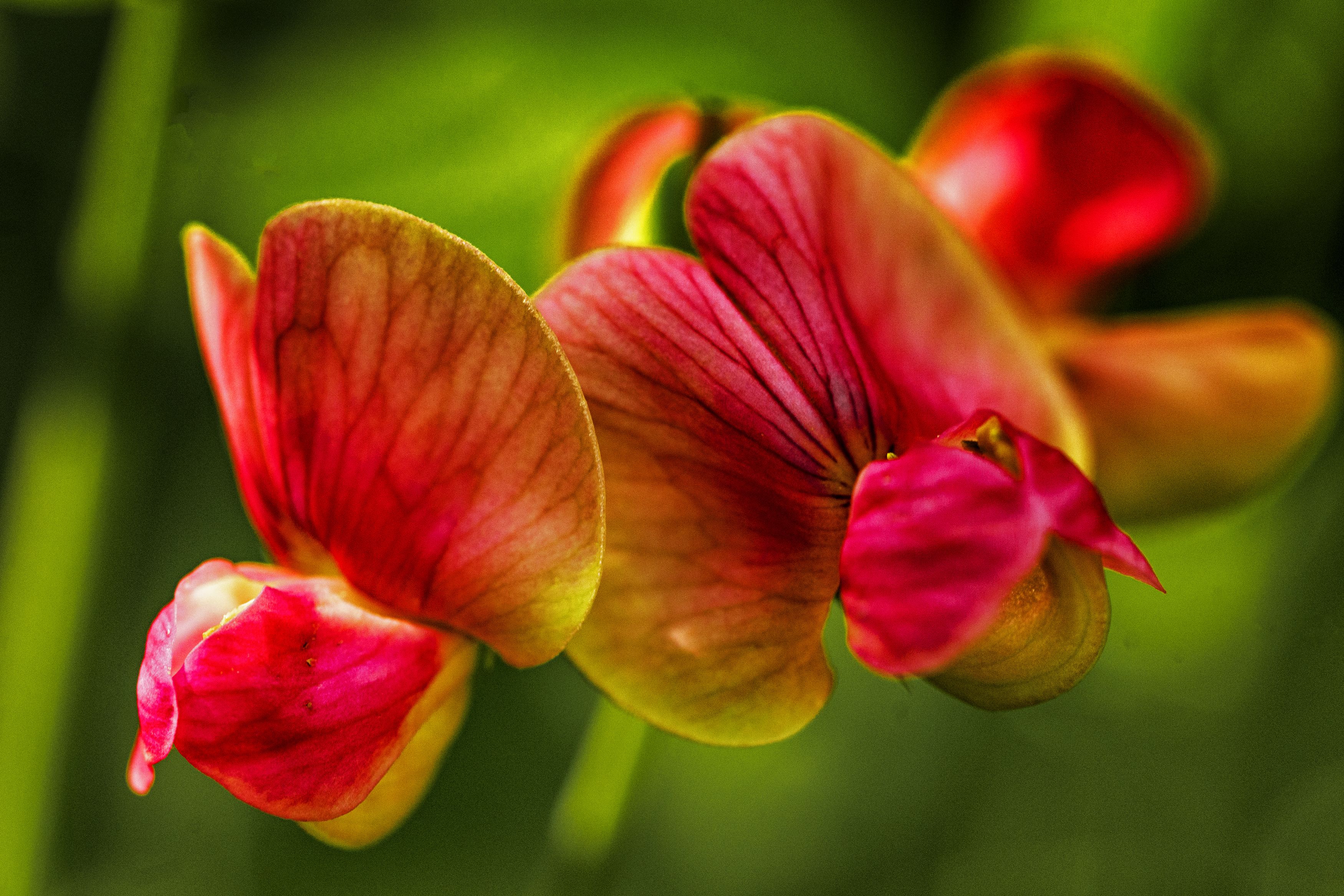 Фотография автора Андрей Жданов