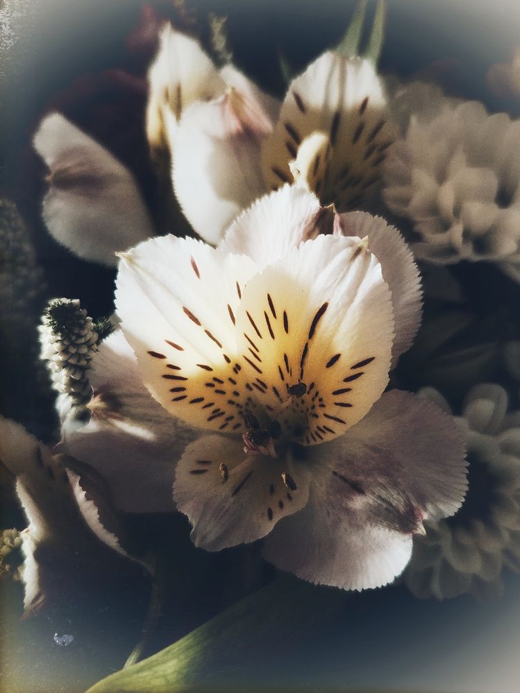 Photograph by Зоя Кулько