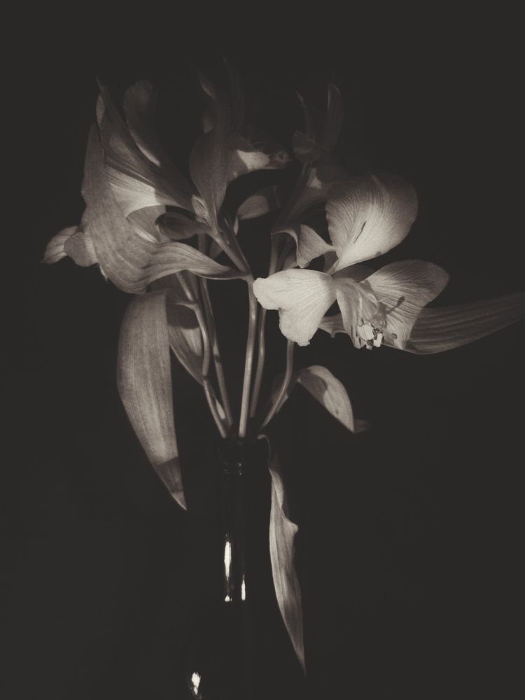 Photograph by Зоя Кулько