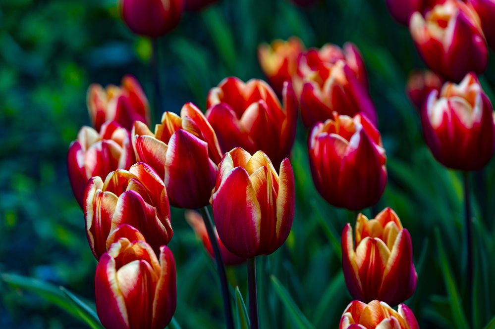 Photograph by Александр Шульга