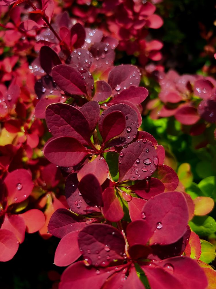 Photograph by Константин Шипицын