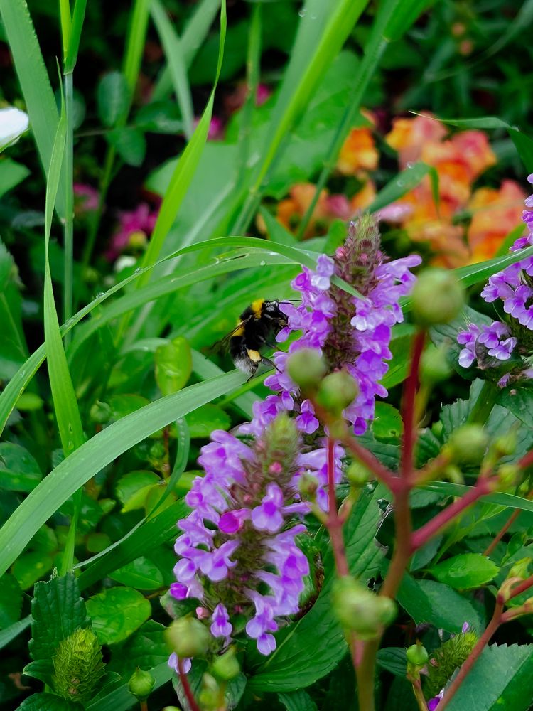 Photograph by Константин Шипицын