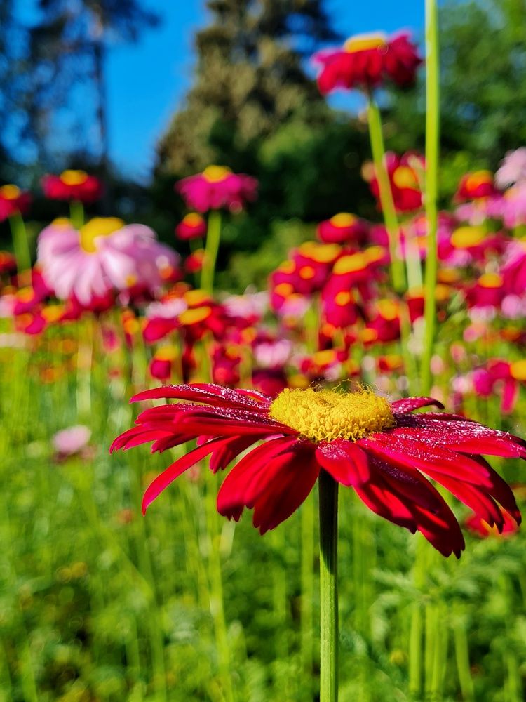 Photograph by Константин Шипицын