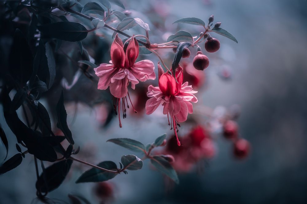 Photograph by Васильев Андрей