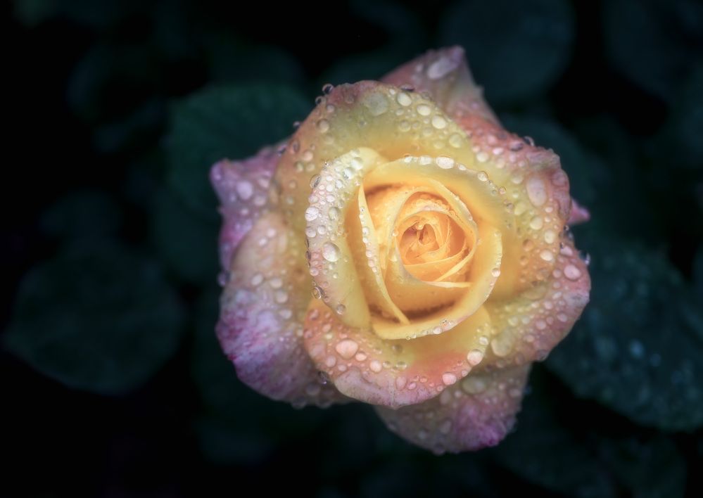 Фотография автора Васильев Андрей