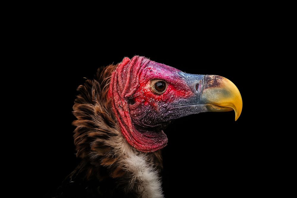 Photograph by Keegan Boland