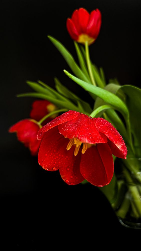 Photograph by Юлия Куклина
