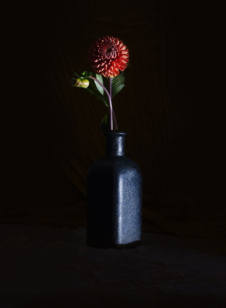 Photograph by Garchenko Vasiliy