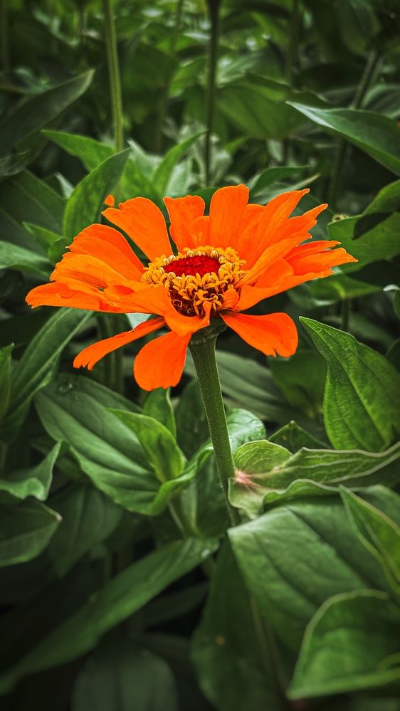 Photograph by Юлия Куклина