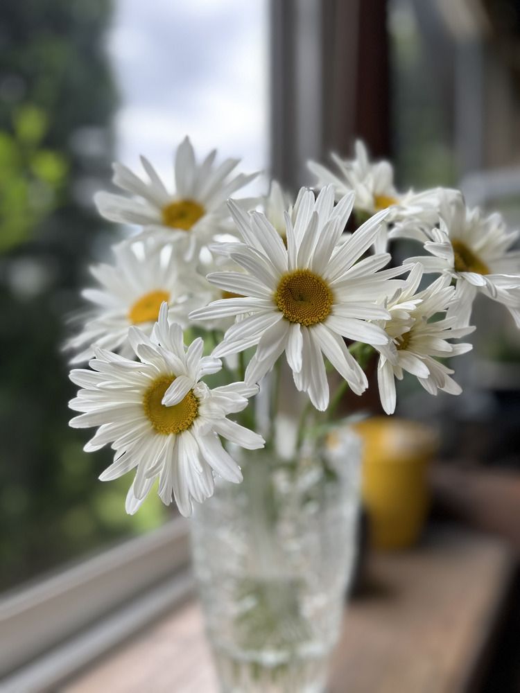 Photograph by Ольга Евтухова