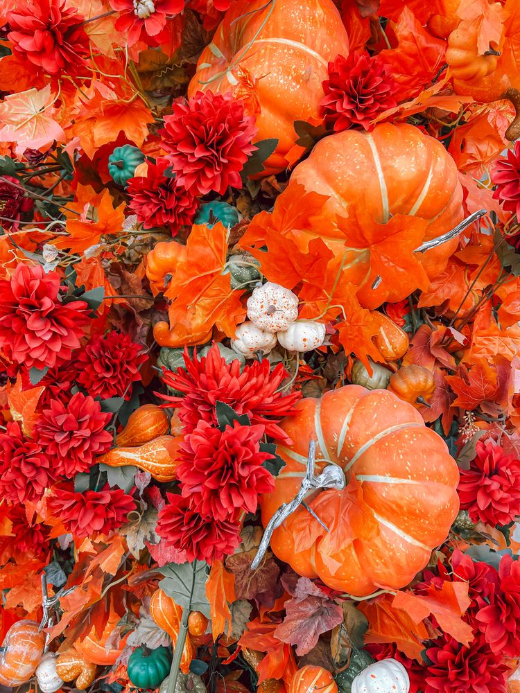 Photograph by Константин Шипицын