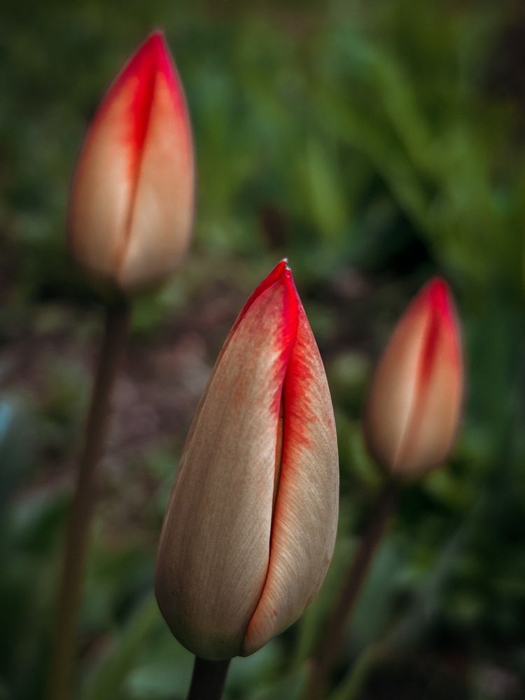 Photograph by Юлия Куклина