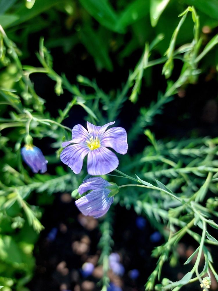 Photograph by Наталья