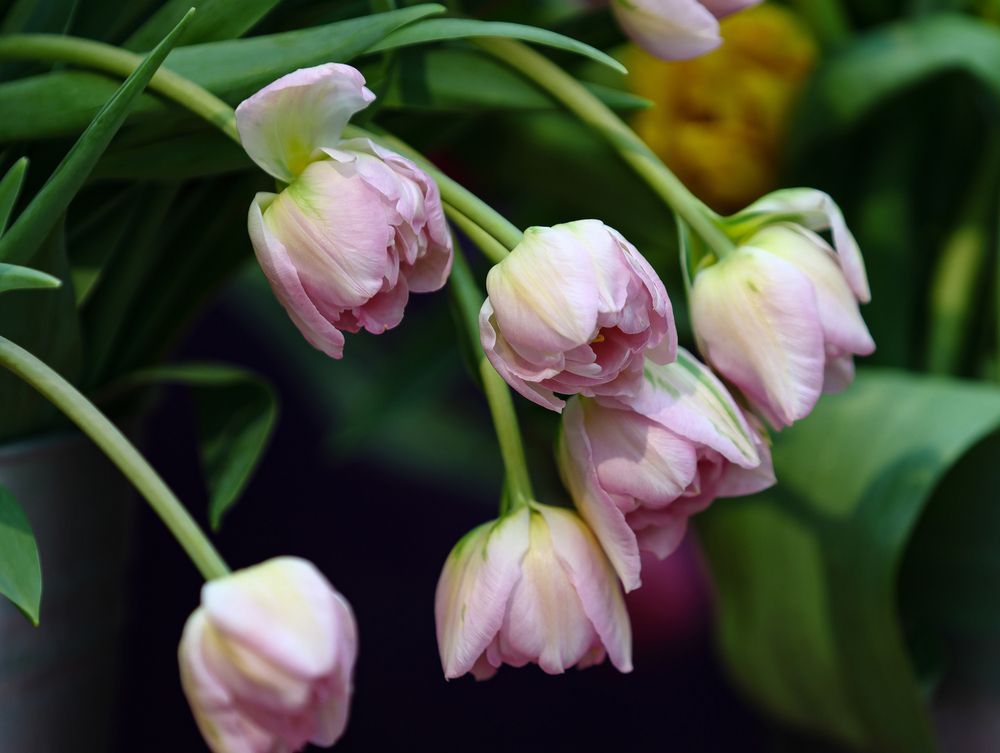 Фотография автора Воронина Татьяна