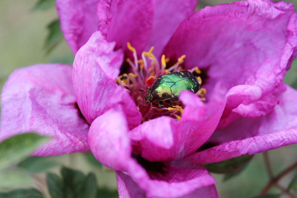 Photograph by Татьяна Сычёва