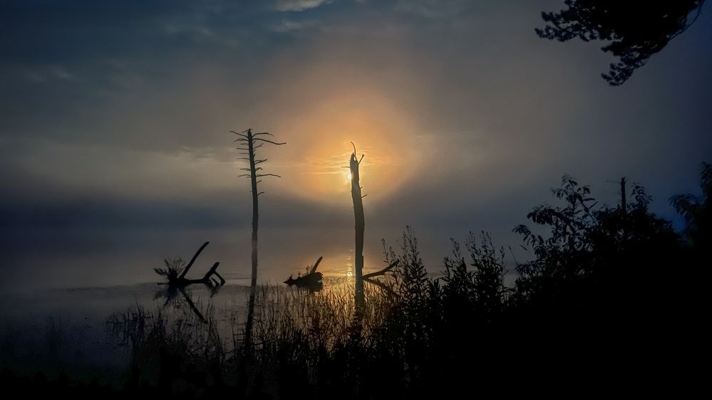 Photograph by Виктория Матушкина