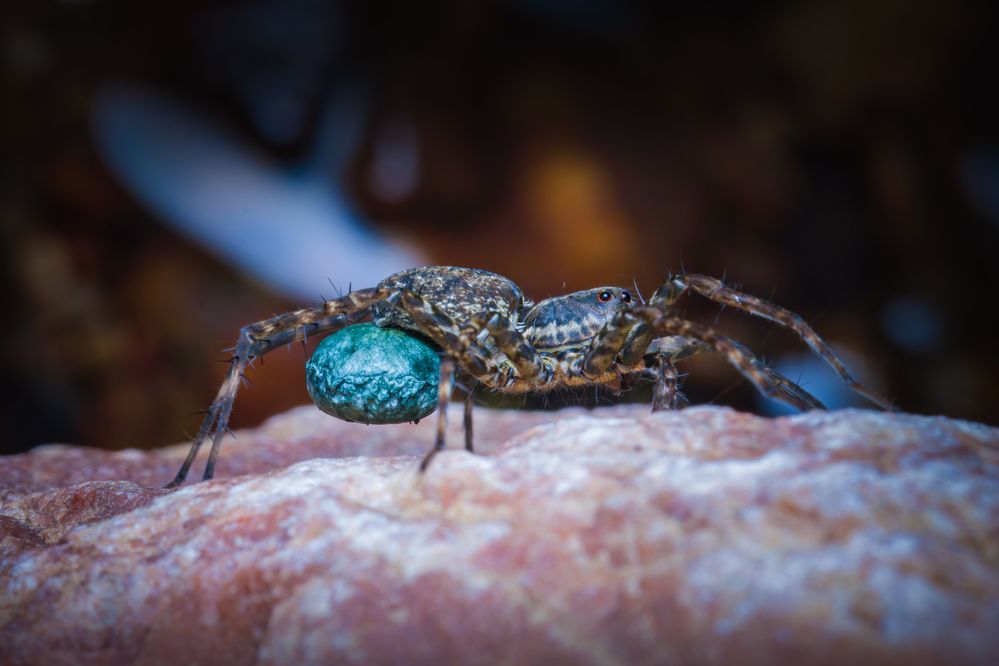 Photograph by Dhruv Shilpi