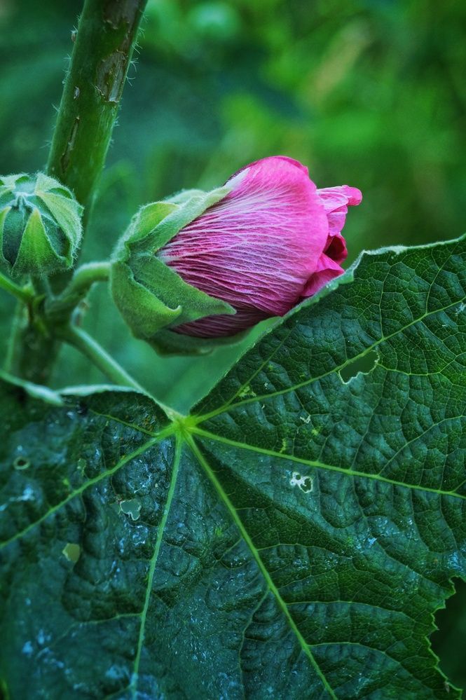 Photograph by Светлана Филина